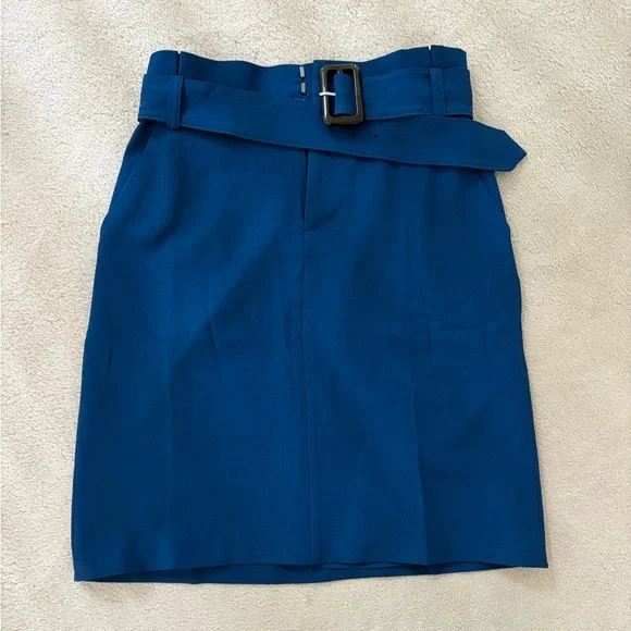 Banana Republic Skirts New Banana Republic Blue Pleated Skirt